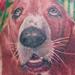Tattoos - Dog portrait tattoo - 54239